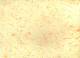 ������ Mulbery 100��  ƨ���� 64*89�� (��.10/300�.)