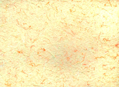 ������ Mulbery 100��  ƨ���� 64*89�� (��.10/300�.)