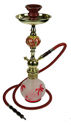 ������ 41�� 