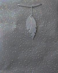 ����� �������� ����� 25*32�� 
